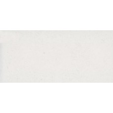 Polaris #4011