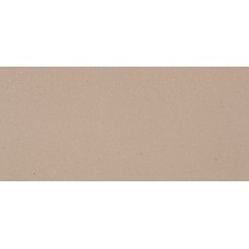 Shitake #4230