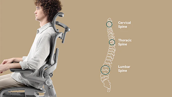 Optimal Spinal Support